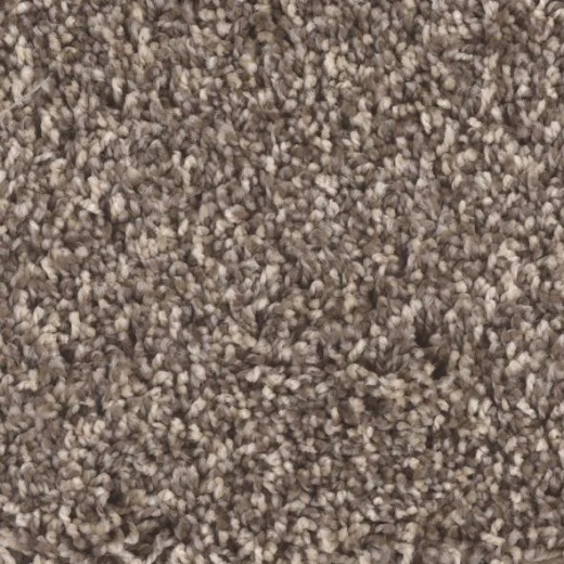Floorever Visionary Mythical Polyester Carpet - Textured