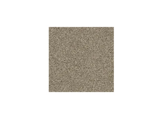 Floorever PetPlus Crystal Cove Trailhead Polyester Carpet - Textured