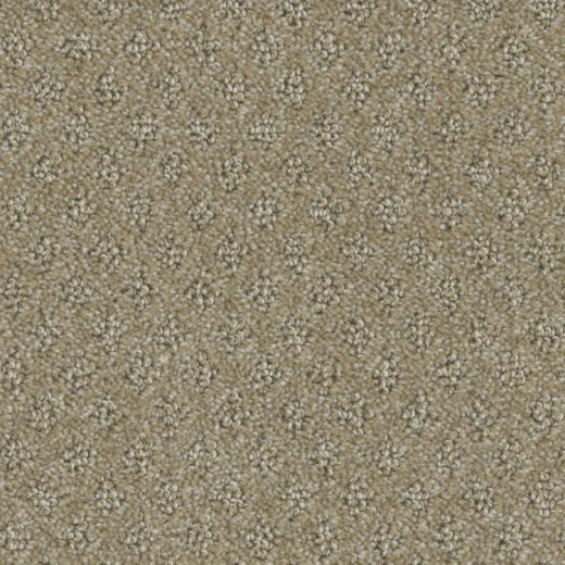 Microban Memento Pledge Polyester Carpet - Pattern