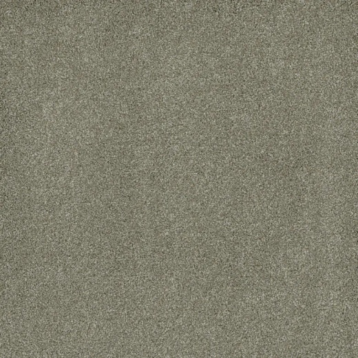 Floorever Visionary Cheerful Polyester Carpet - Textured