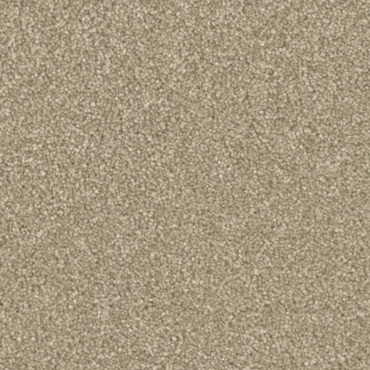 Microban Top Notch High Life Polyester Carpet - Pattern