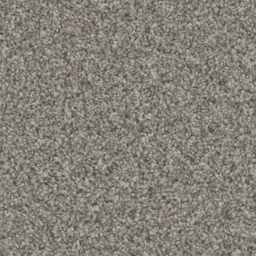 Floorever PetPlus Rhodes Historical Polyester Carpet - Textured