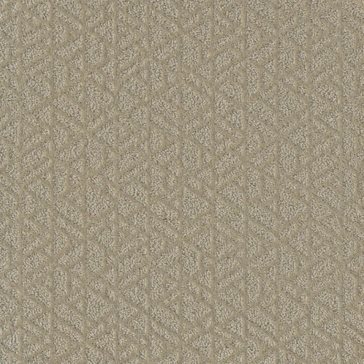 Floorever Decadent Excellent Polyester Carpet - Pattern