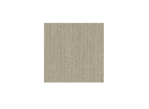 Floorever PetPlus All Inclusive Abundant Polyester Carpet - Pattern