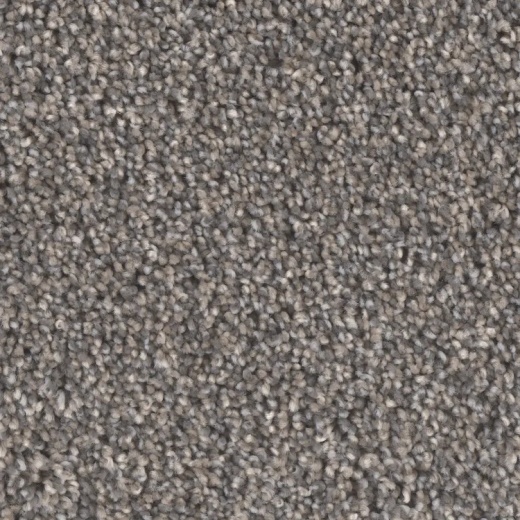 Microban Blessed Hopeful Polyester Carpet - Textured