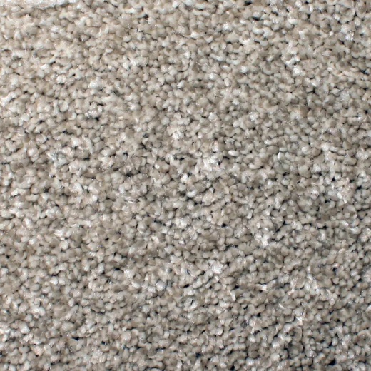 Floorever Ebullient Cheerful Polyester Carpet - Textured