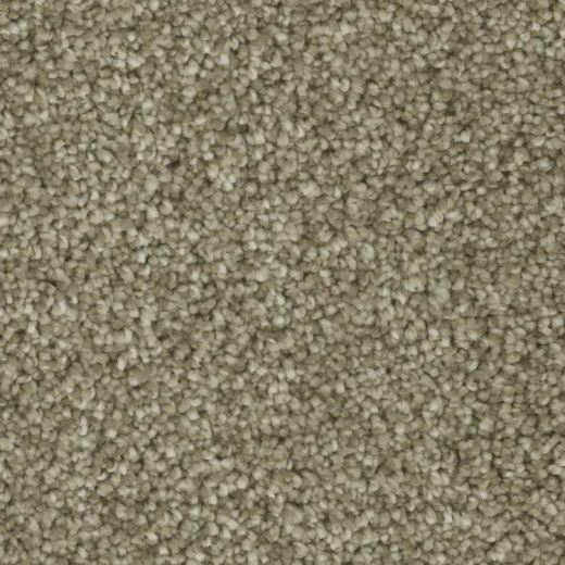 Microban Blessed Aim Polyester Carpet - Textured