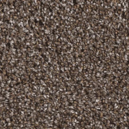 Floorever Eccentric Capricious Polyester Carpet - Textured