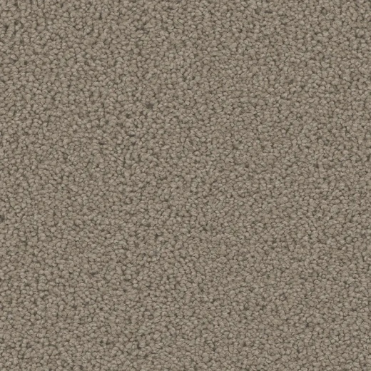 Floorever Petplus Mateo Luxury Polyester Carpet - Textured