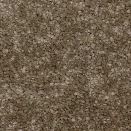 Microban Panache Folkstone Polyester Carpet - Pattern