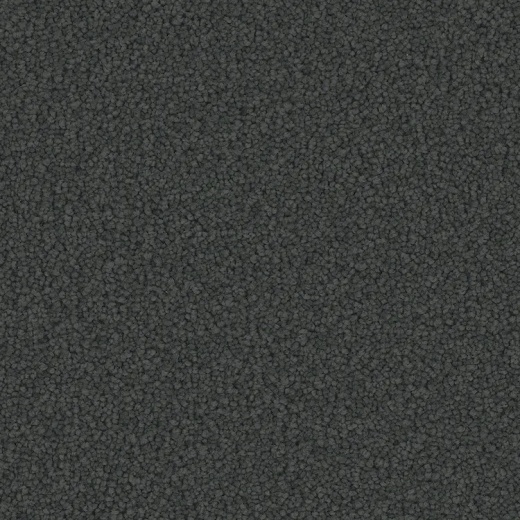 FloorEver PetPlus Emerson Sophistication Polyester Carpet - Textured