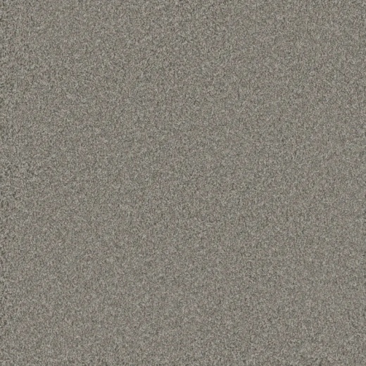 Floorever Petplus Bougie Extra Polyester Carpet - Textured
