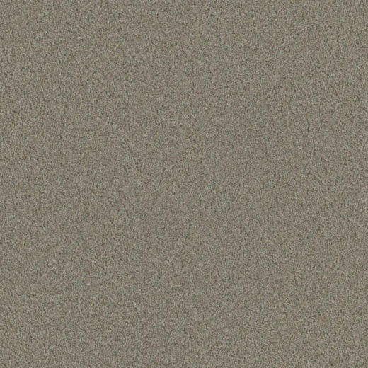 Floorever Eccentric Mythical Polyester Carpet - Textured