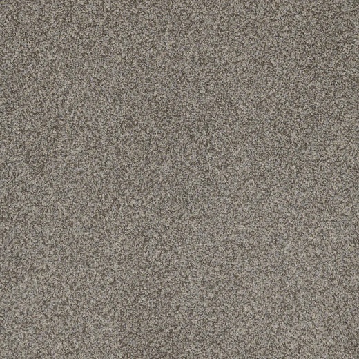 FloorEver PetPlus Sorrento Mecca Polyester Carpet - Textured