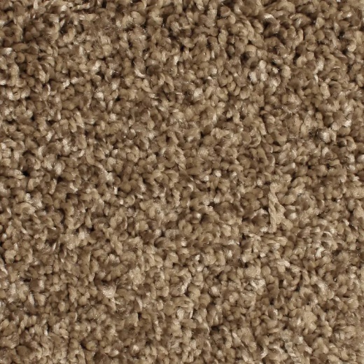 Microban Paradigm Shenandoah Polyester Carpet - Pattern