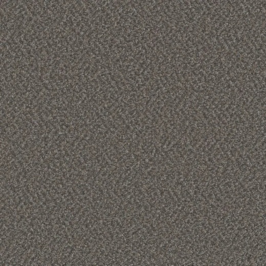 Floorever Succeed Revamp Polyester Carpet - Textured