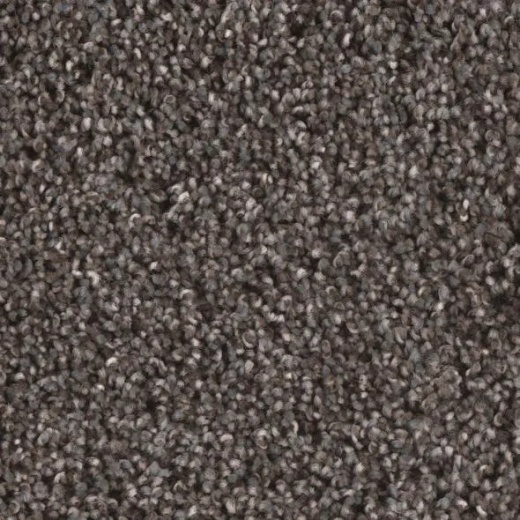 Floorever Eccentric Witty Polyester Carpet - Textured