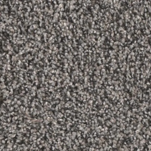 Floorever Visionary Lively Polyester Carpet - Textured