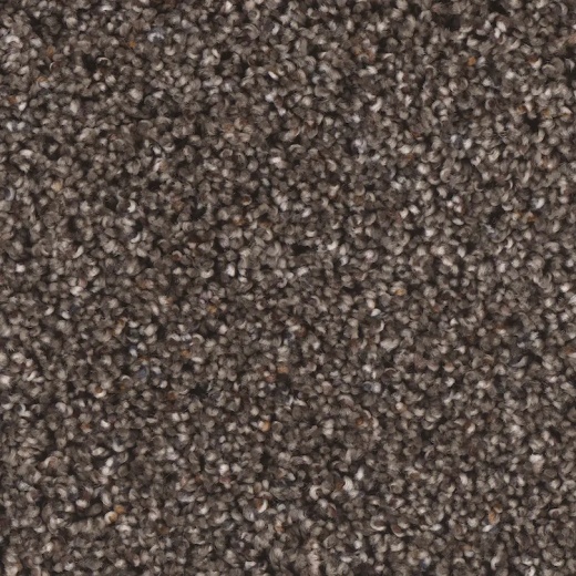 Microban Creekside II Spout Polyester Carpet - Textured