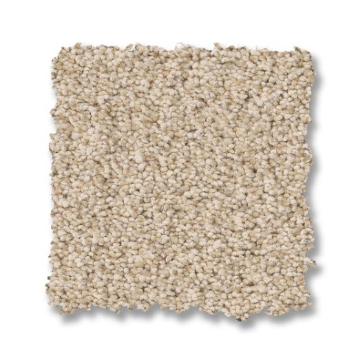 Fabulous Risotto Nylon Carpet - Textured