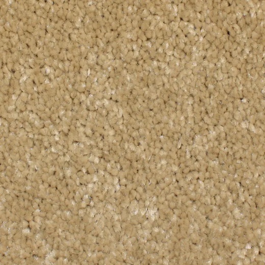 Microban Cachet Evening Twilight Polyester Carpet - Textured