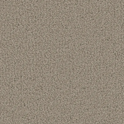 Floorever Petplus Emerson Showcase Polyester Carpet - Textured