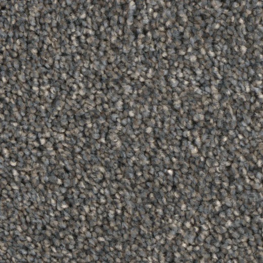 Microban Grand Champion Challenger Polyester Carpet - Textured