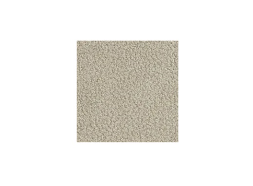 Floorever PetPlus In The Details Specific Polyester Carpet - Pattern