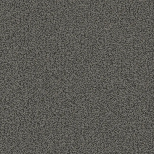Floorever Petplus Emerson Sumptuous Polyester Carpet - Textured