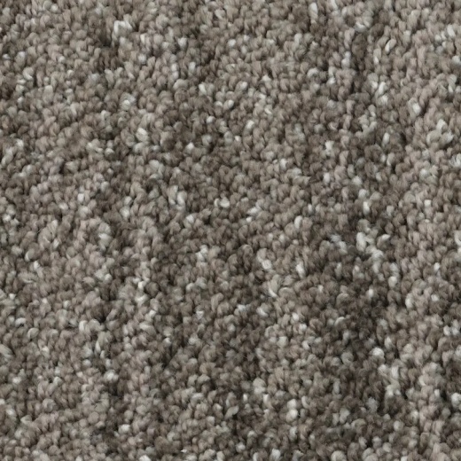 Modern Contours Tonal Harmony Concord Polyester Carpet