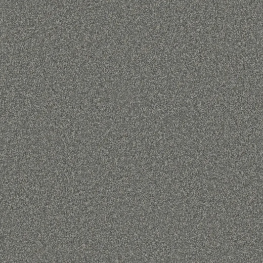 Modern Contours Pristine Modest Polyester Carpet - Textured