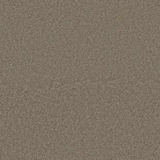 Floorever Succeed Commit Polyester Carpet - Textured