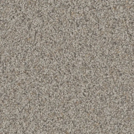 Floorever Petplus Rhodes Hilltop Polyester Carpet - Textured