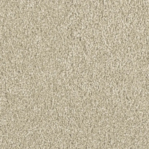 Microban Top Notch Cream of the Crop Polyester Carpet - Pattern