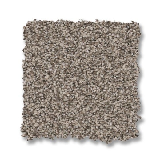Fabulous Pashmina Nylon Carpet - Textured