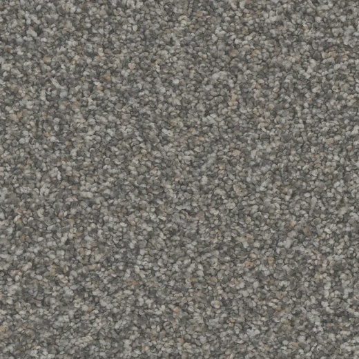 Floorever Petplus Rhodes Cypress Polyester Carpet - Textured