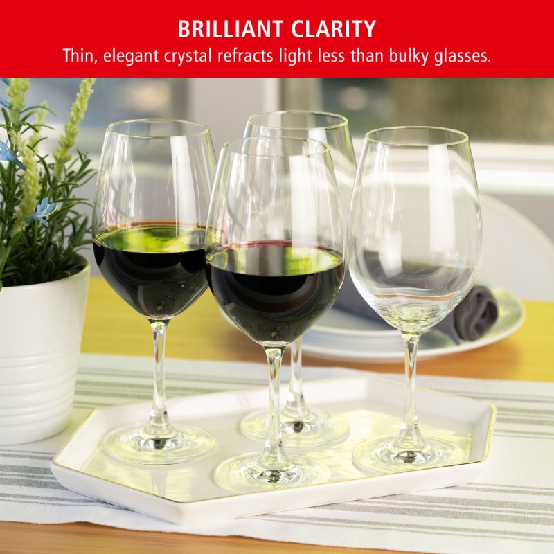 Spiegelau Salute 19.4 oz Red Wine Glass (Set of 4)