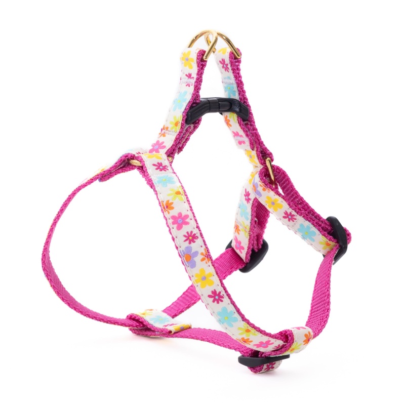 Springhare Harnesses Buy Spring Fever Small Breed Dog Harness Online - Up Country