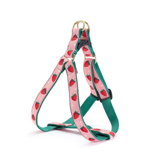 Strawberry Fields Dog Harness by Up Country