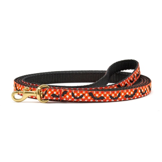 Batty Small Breed Dog Lead - Up Country