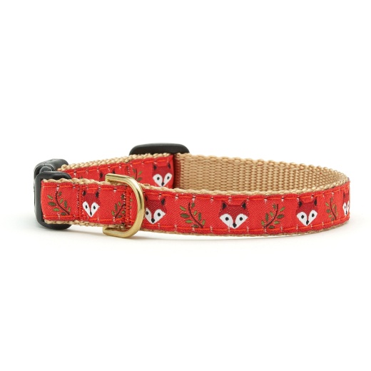 Foxy Small Breed Dog Collar by Up Country