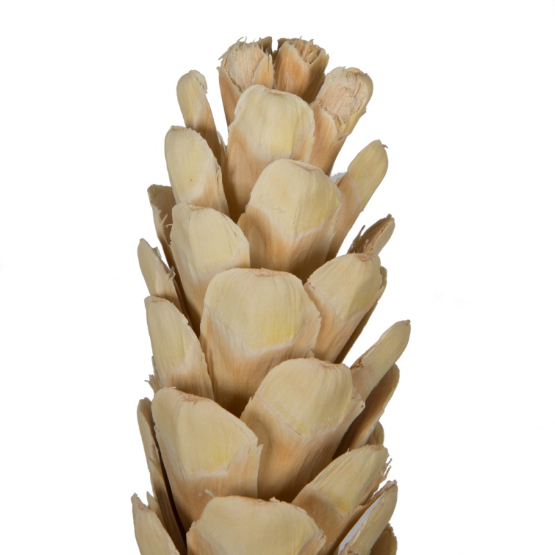 3.14" Bleached White Pine Cone Sm 20/Pk