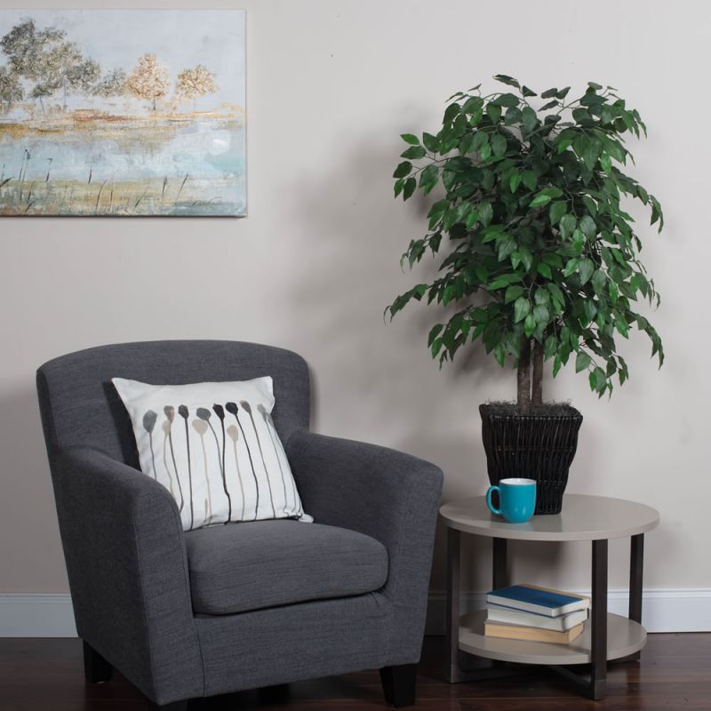 4' Ficus In Square Willow Container