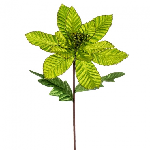 22" Lime Velvet Glitter Poinsettia 6/Bg