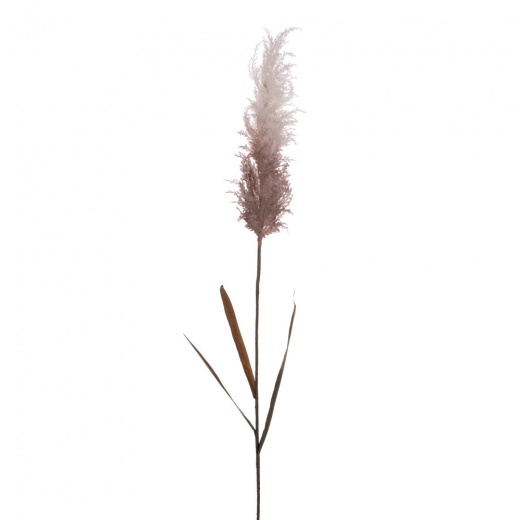 44" Cream Reed Spray 2/Bundle