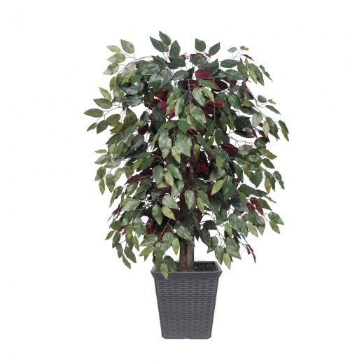 4' Capensia Bush Square Gray Container