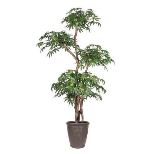 6' Multi Level Japanese Maple Rnd Brown Artificial Tree