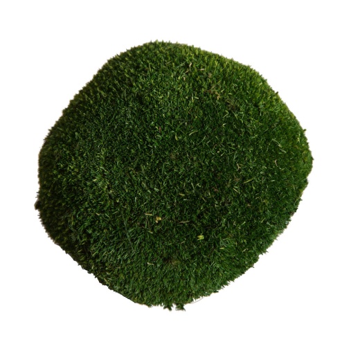 Vickerman Green Moss Sheet - 1.1 lb/bag