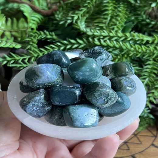 Moss Agate Tumbled Stone