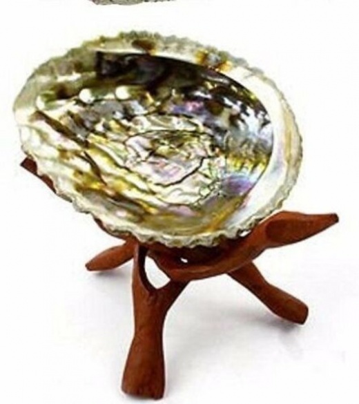 Abalone Shell and Cobra Stand 5-6 Inches - Unique Home Decor